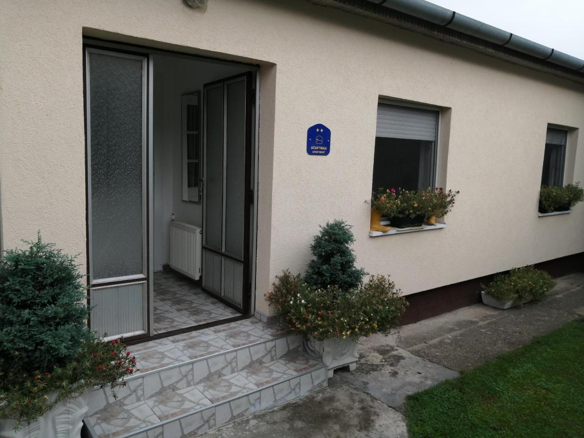 Green Apartment Нови Сад Екстериор снимка
