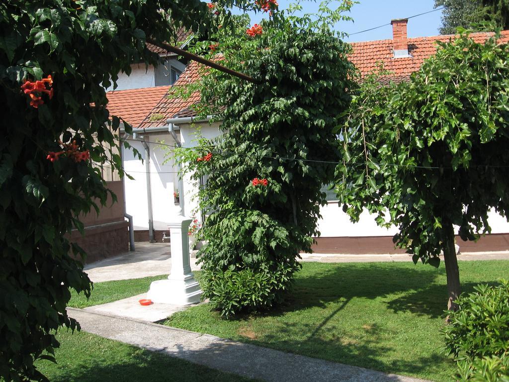 Green Apartment Нови Сад Екстериор снимка