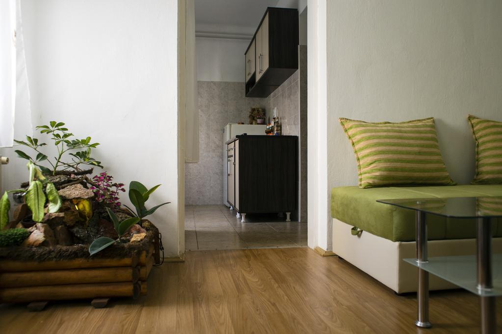 Green Apartment Нови Сад Екстериор снимка